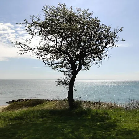 Renovated In - By Traum * 尤尔斯明讷